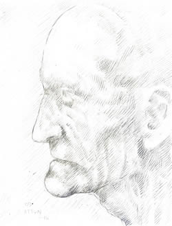 Profile of an Old Man silverpoint
