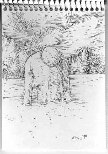 Narcissus in the Pool by William T. Ayton